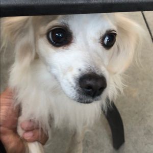 Meet your Posher, Luis